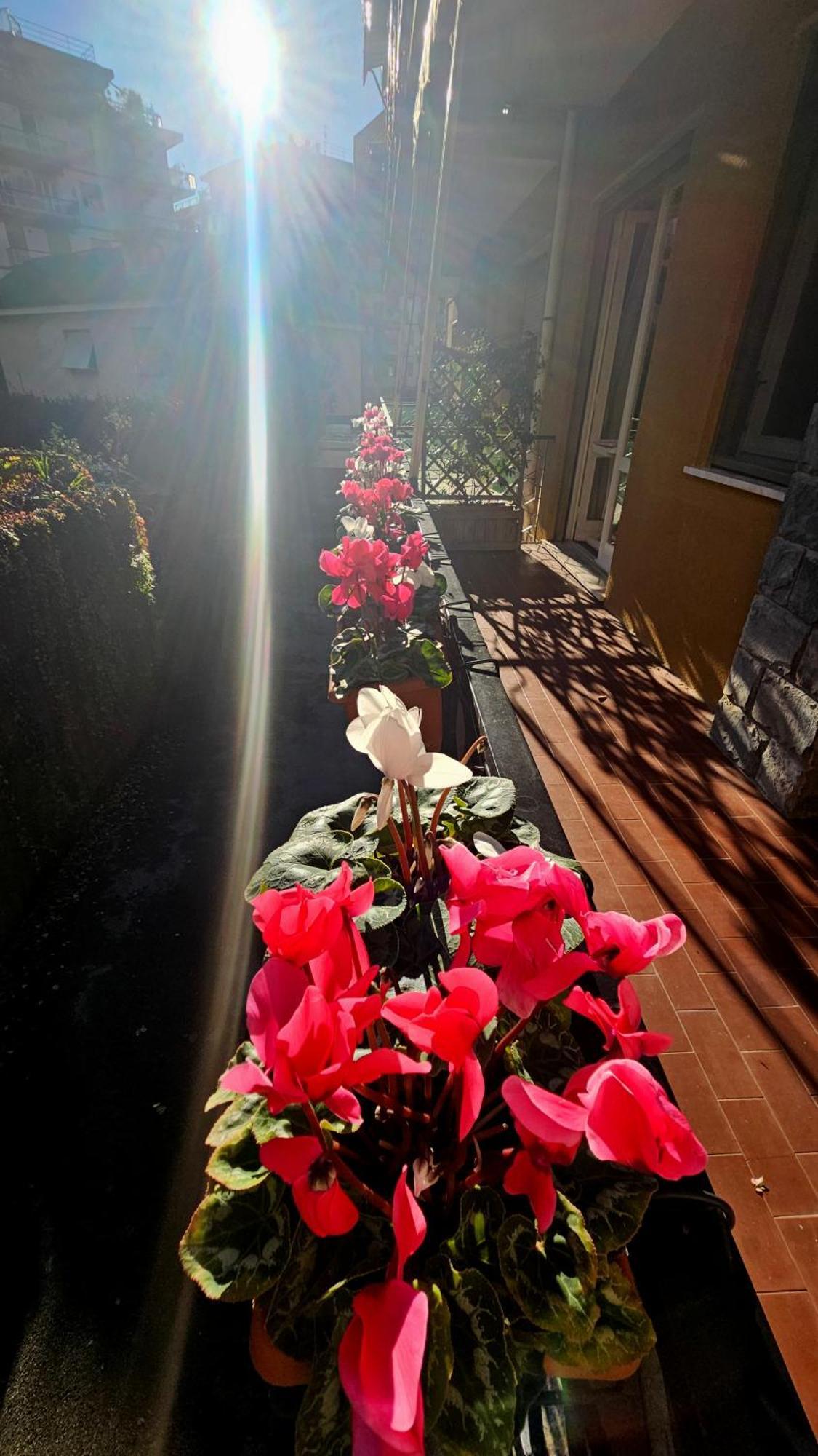 Casa Con Giardino Vicino Al Mare Appartement Rapallo Buitenkant foto